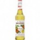 Monin Pomme 70cl