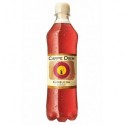 Carpe Diem Kombucha Classic 50cl (pack de 24)