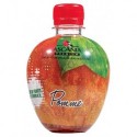 Ascania Limonade Pomme 33cl (pack de 24)