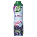 Teisseire Sirop Cassis 60cl (lot de 5)
