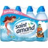 Saint Amand 33cl Bouchon Sport (pack de 12)