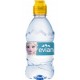 EVIAN EAU MINÉRALE NATURELLE 33cl (pack de 12)