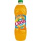 Oasis Tropical 2L