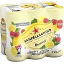 San Pellegrino Momenti Citron & Framboise 33cl (pack de 6)