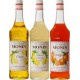 Assortiment Monin Fruits Acidulés (pack 3x1L)