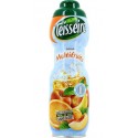 Teisseire Sirop Multifruits 75cl (lot de 3)