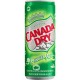 Canada Dry Ginger Ale 33cl (pack de 6)