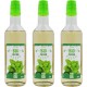AGIDRA Sirop De Menthe Bio France Bouteille 50cl