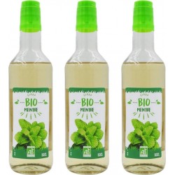 AGIDRA Sirop De Menthe Bio France Bouteille 50cl