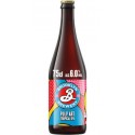 BROOKLYN Bière Pulp Art Tropical IPA 6%L