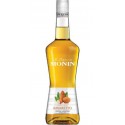 MONIN Liqueur D'amaretto 28% MONIN